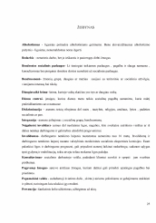 www.speros.lt